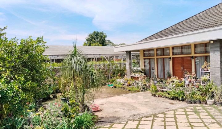 Rumah Ciumbuleuit Kota Bandung Dk Rsau Salamun +kebun Anggur Rumah Ciumbuleuit Kota Bandung Dk Rsau Salamun +kebun Anggur