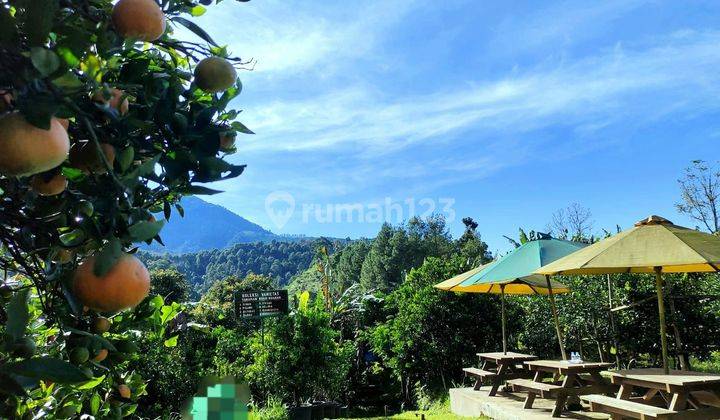 Rumah Villa Kebun Jeruk Luas View Keren Di Lembang Kota Bandung 1