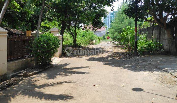 Dijual Tanah Murah Dekat Unimus Kedungmundu Jl gemah Kinijaya  2