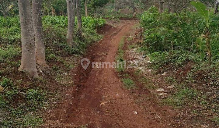 Tanah Luas cocok buat Usaha Kost di Tembalang 2