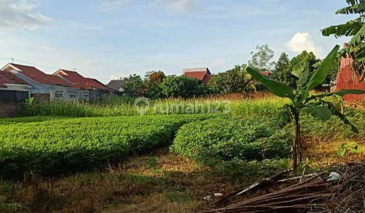 Tanah di perumahan tembalang pesona asri 1