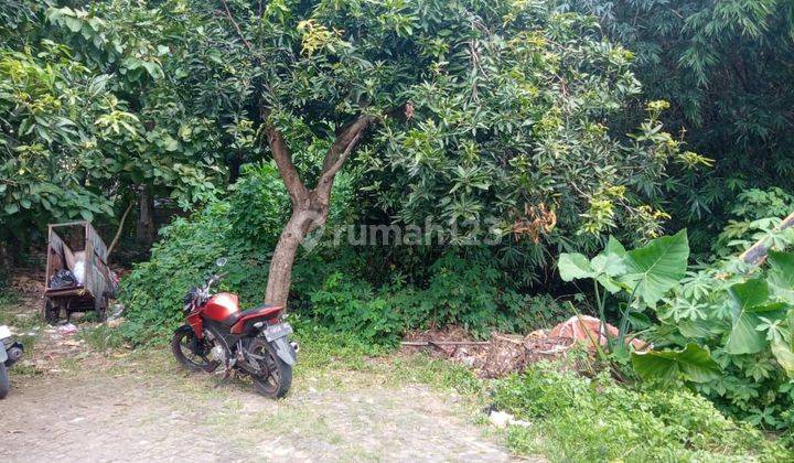 TANAH MURAH DEKAT KAMPUS UNIMUS KEDUNGMUNDU 1