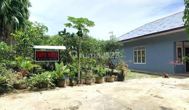Dijual Tanah Cocok Untuk Usaha +5000m2 di Tanjung Morawa 1