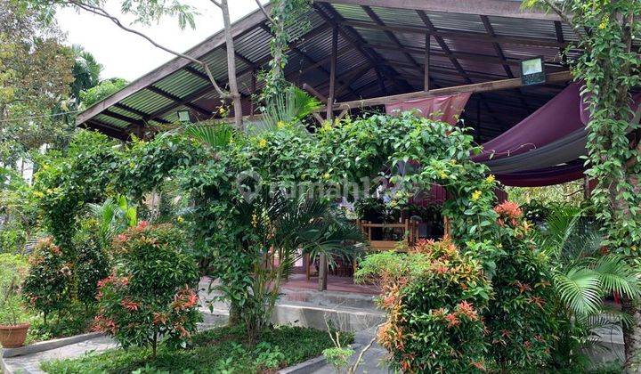Dijual Tanah Cocok Untuk Usaha +5000m2 di Tanjung Morawa 4
