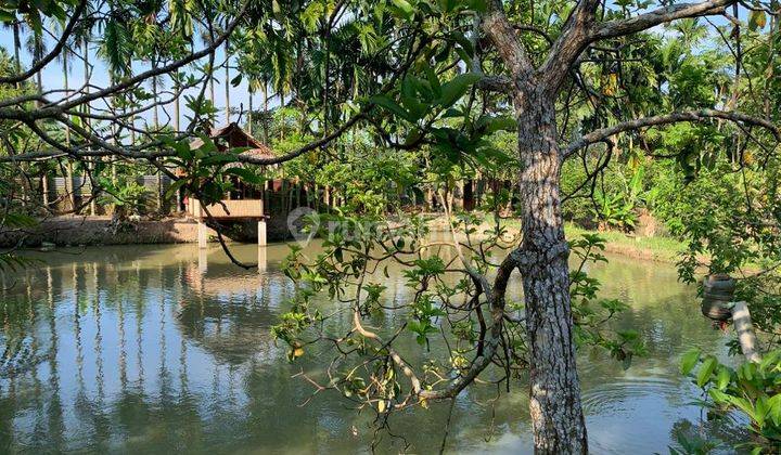 Dijual Tanah Cocok Untuk Usaha +5000m2 di Tanjung Morawa 9