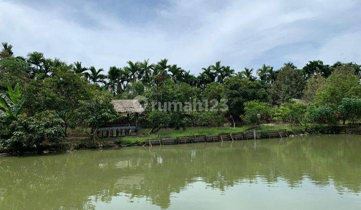 Dijual Tanah Cocok Untuk Usaha +5000m2 di Tanjung Morawa 10