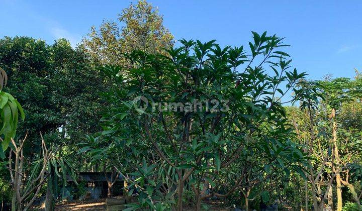 Dijual Tanah Cocok Untuk Usaha +5000m2 di Tanjung Morawa 12