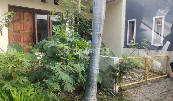  Dijual Rumah Murah Bagus di Bukit Palma Citraland Surabaya Barat 1