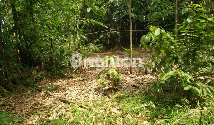 TANAH MURAH DI TIGA RAKSA TANGERANG