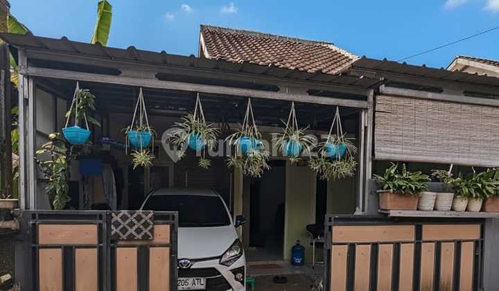 Rumah Murah Jual Cepat Di Pasir Putih