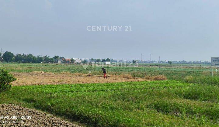 Tanah Persawahan Kedung Pengawas Babelan Bekasi 2