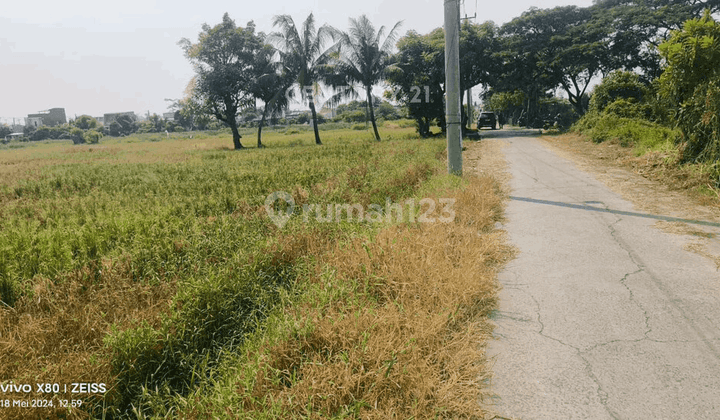 Dijual Tanah Di KP Kedaung Babelan Bekasi 1