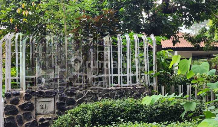 Rumah Bagus Di Jl Guntur Bogor Jawa Barat Rumah Bagus Di Jl Guntur Bogor Jawa Barat
