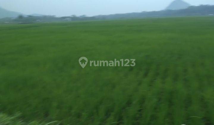 Lahan Sawah luas Tanah 1800 m² cocok buat perumahan atau Wisata Alam Edukasi Lokasi Asri Strategis Rumpin Bogor 2