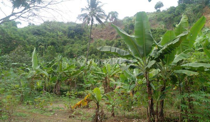 Tanah Puncak Lokasi Strategis Puncak Wisata Bogor 2