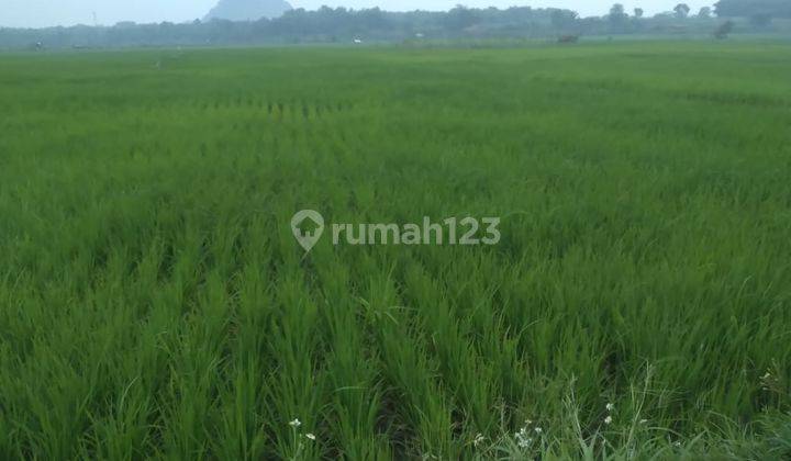 Lahan Sawah luas Tanah 1800 m² cocok buat perumahan atau Wisata Alam Edukasi Lokasi Asri Strategis Rumpin Bogor 1