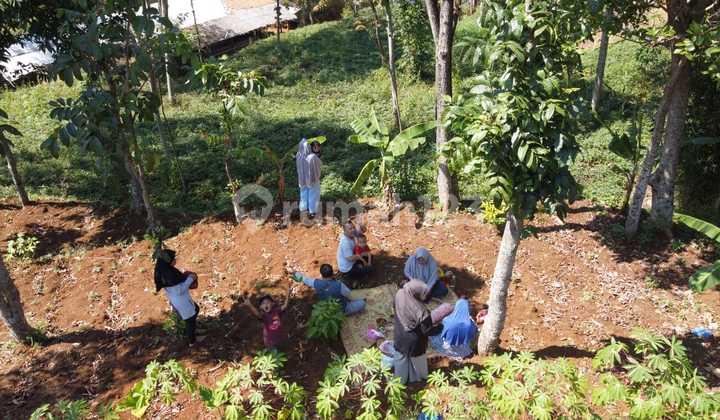 Jual Tanah Cocok untuk dibangun Villa di Banjaran- Bandung Tanah 1