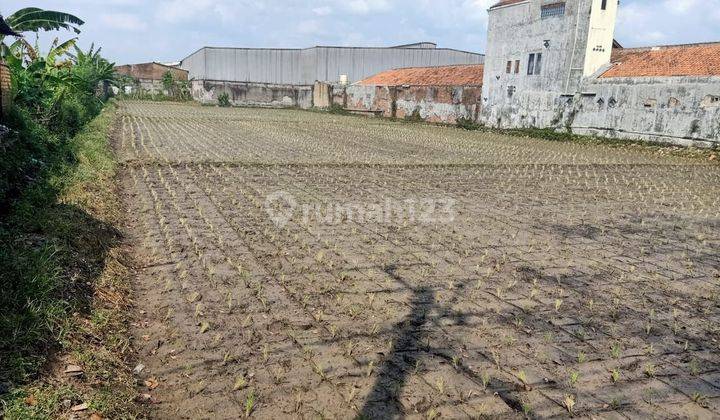 JUAL TANAH SAWAH di Jln.Terusan Kopo Katapang Bandung 2