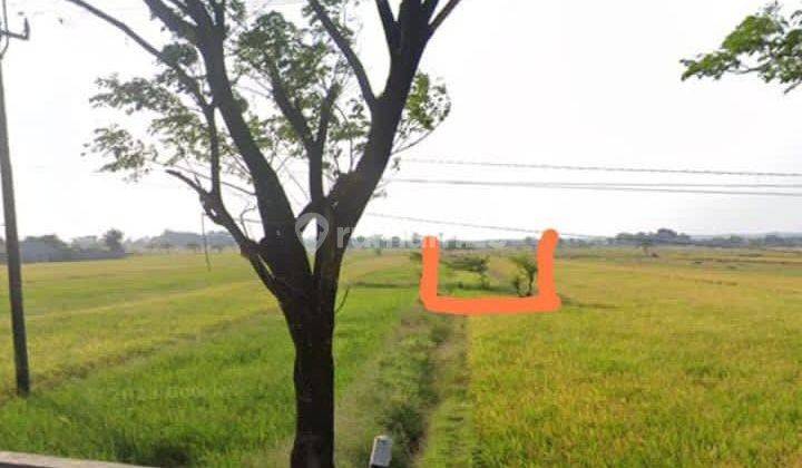 JYAL TANAH SAWAH LOKASI DEKAT PINTU TOL di KERTAJATI MAJALENGKA 1