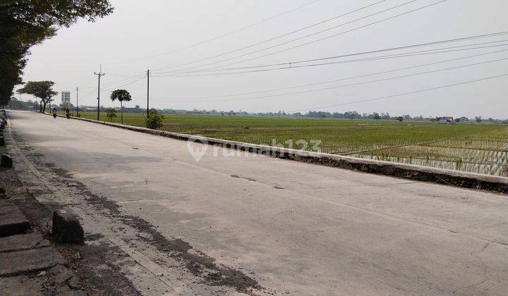 JUAL TANAH SAWAH DEKAT PINTU TOL di KERTAJATI MAJALENGKA 1