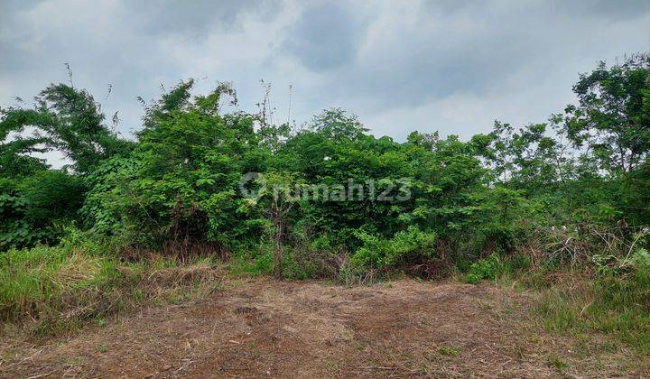 Jual Tanah Di Cibatu Purwakarta Dekat Subang* 5