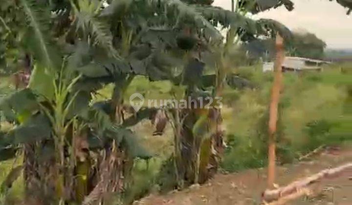 Lahan potensial utk Perumahan n investasi usaha di lokasi yg sedang berkembang di Bogor Timur,  Kabupaten baru pemekaran dari Kabupaten Bogor 3
