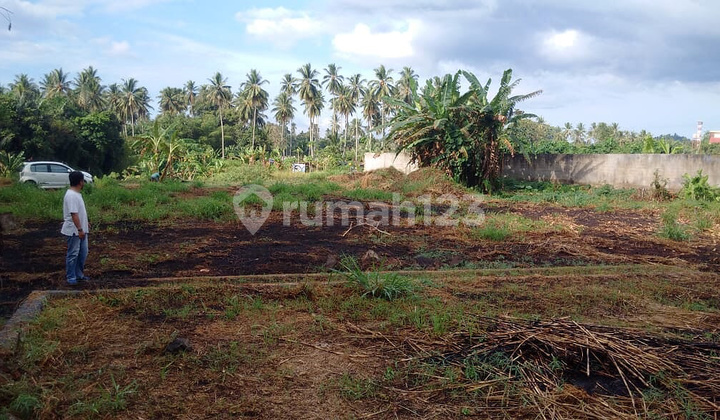 Dijual Tanah Yang Ada Kebon Jati dengan 4 sertifikat SHM 6