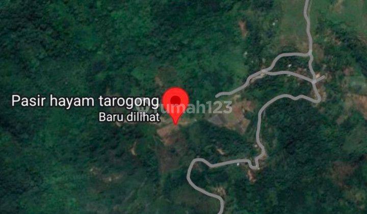 Jual Tanah Perkebunan Teh Pangalengan Bandung  1