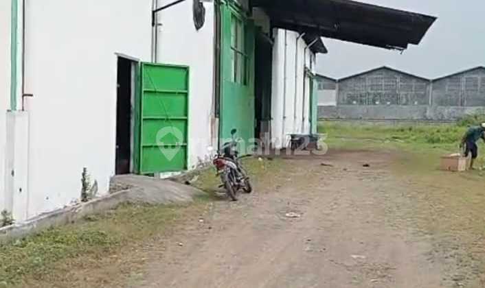 Jual Gudang Cocok untuk Pabrik dengan Izin Industri Tanah Padat Pinggir Jalan Raya Salembaran Jual Gudang Cocok untuk Pabrik dengan Izin Industri Tanah Padat Pinggir Jalan Raya Salembaran