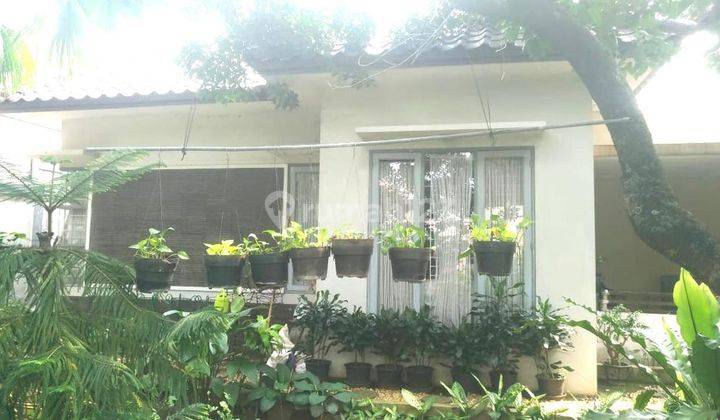 Rumah Bagus , Dijual Cepat di Jalan Rembang Utara 2