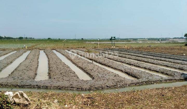 Lahan Di Rorotan Dekat Komplek Jakarta Garden City, Dijual 1