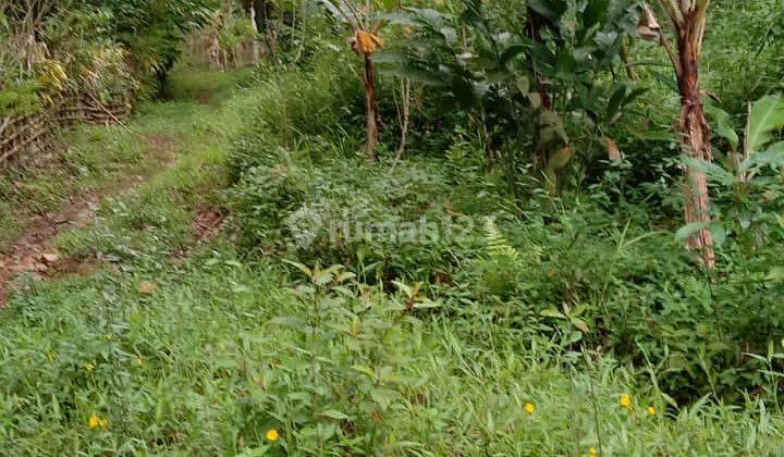 Lahan 5 ha di Cijengkol, Cibadak - Sukabumi 2