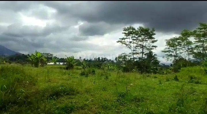 Dijual Murah Lahan 2.85 ha di Cipanengah, Sukabumi. 2