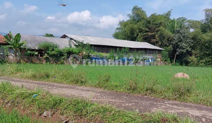 Land for Sale in Cintakarya Village, Sindangkerta Subdistrict, West Bandung.