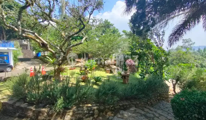 Rumah Dengan Tanah Yang Luas di Bukit Dago Pakar Bandung. Rumah Dengan Tanah Yang Luas di Bukit Dago Pakar Bandung.