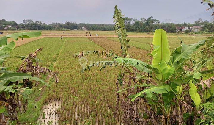 Tanah Sawah Atau Aset di Mijen, Semarang SHM 1.134 m² 1