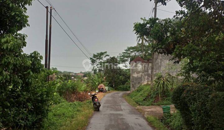 Tanah Sawah Atau Aset di Mijen, Semarang SHM 1.134 m² 6