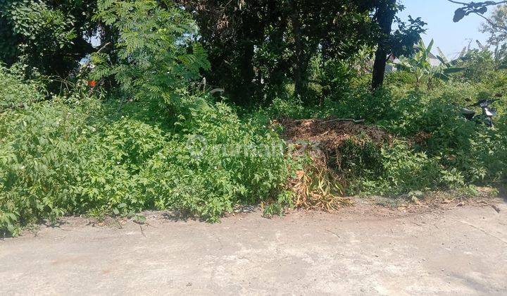 Tanah di Bulusan, Kecamatan Tembalang Cocok Untuk Kos Kosan 5