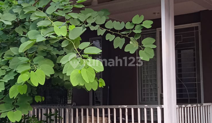 Dijual Cepat Rumah Di Zuma Malibu Gading Serpong  2