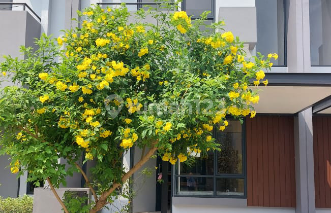 Invensihaus R  Fully Furnished Bsd City