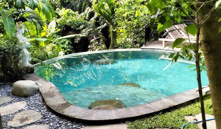 Villa For Rent In Ubud Area 5