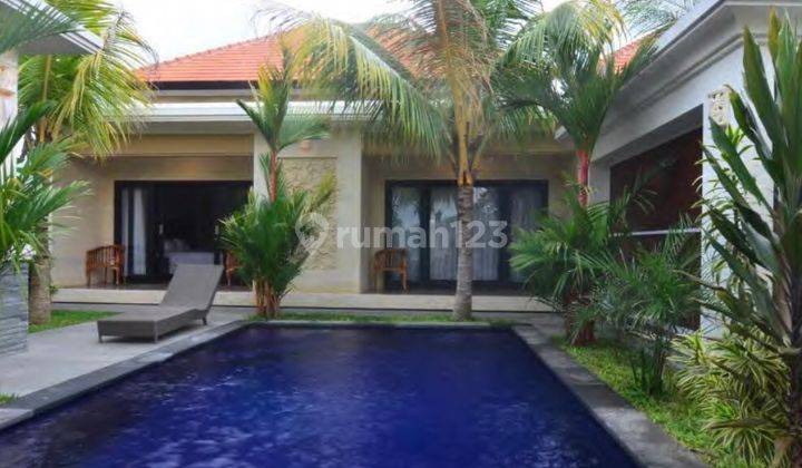 Ricefield View Villa  For Rent  Near Ubud (10 Minutes To  Ubud)  Bagus 1