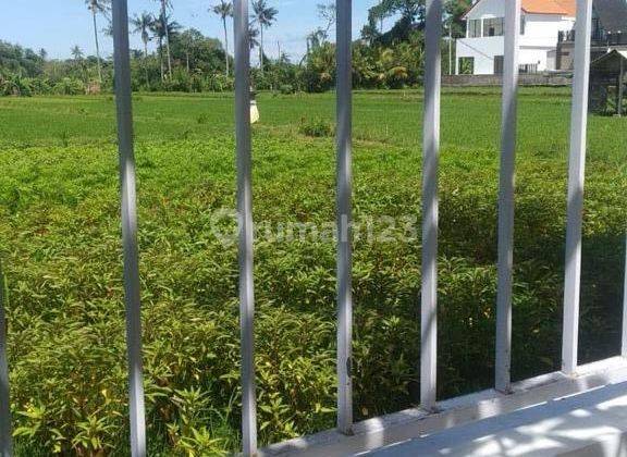 Ricefield View Villa  For Rent  Near Ubud (10 Minutes To  Ubud)  Bagus 11