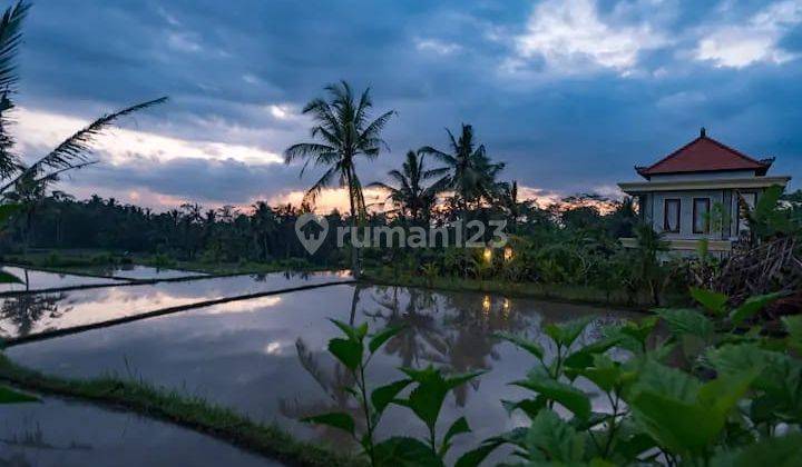 Ricefield View, 3 Bedrooms Villa  In Ubud Area For Rent. Only 7 Minutes From Central Ubud 13