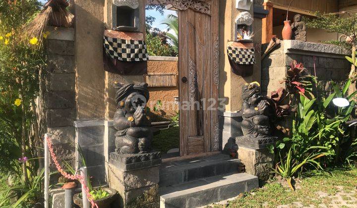 Ricefield  View Villa In Ubud Area For Rent 9