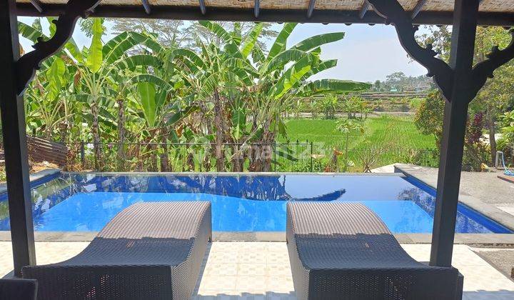 Cozy Private Villa With Ricefield View To Be Rent In Ubud Area 1