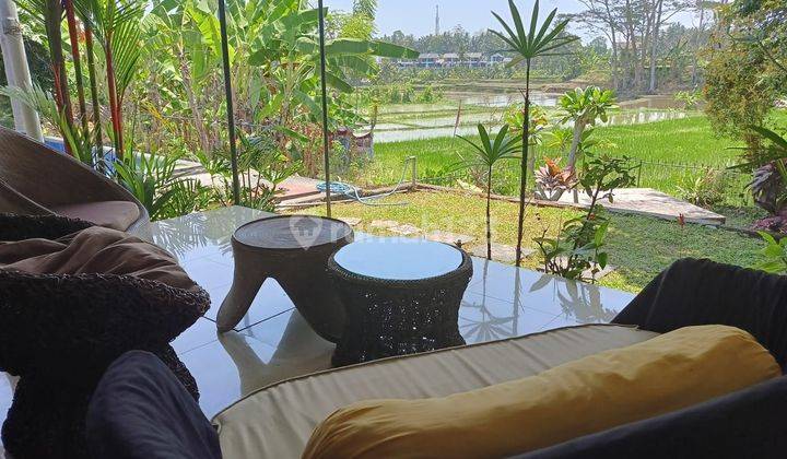 Cozy Private Villa With Ricefield View To Be Rent In Ubud Area 2