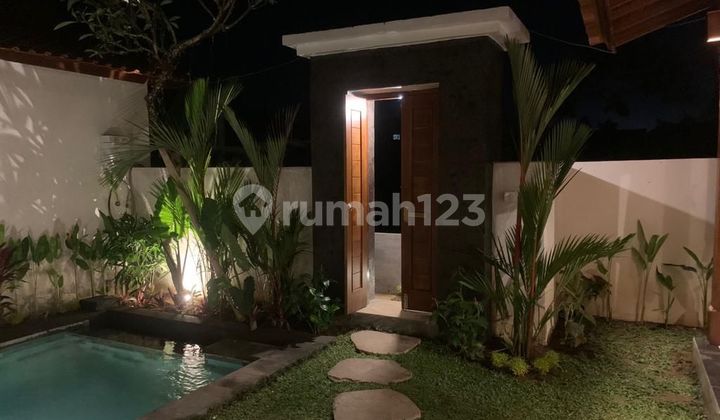 Brand new Private Villa in Ubud area for rent 2