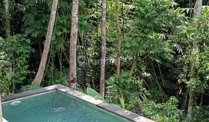 For rent Brand new villa ubud  with jungle view