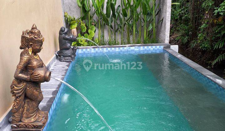 Villa 1 bedroom in Ubud area for rent, all bills included 1